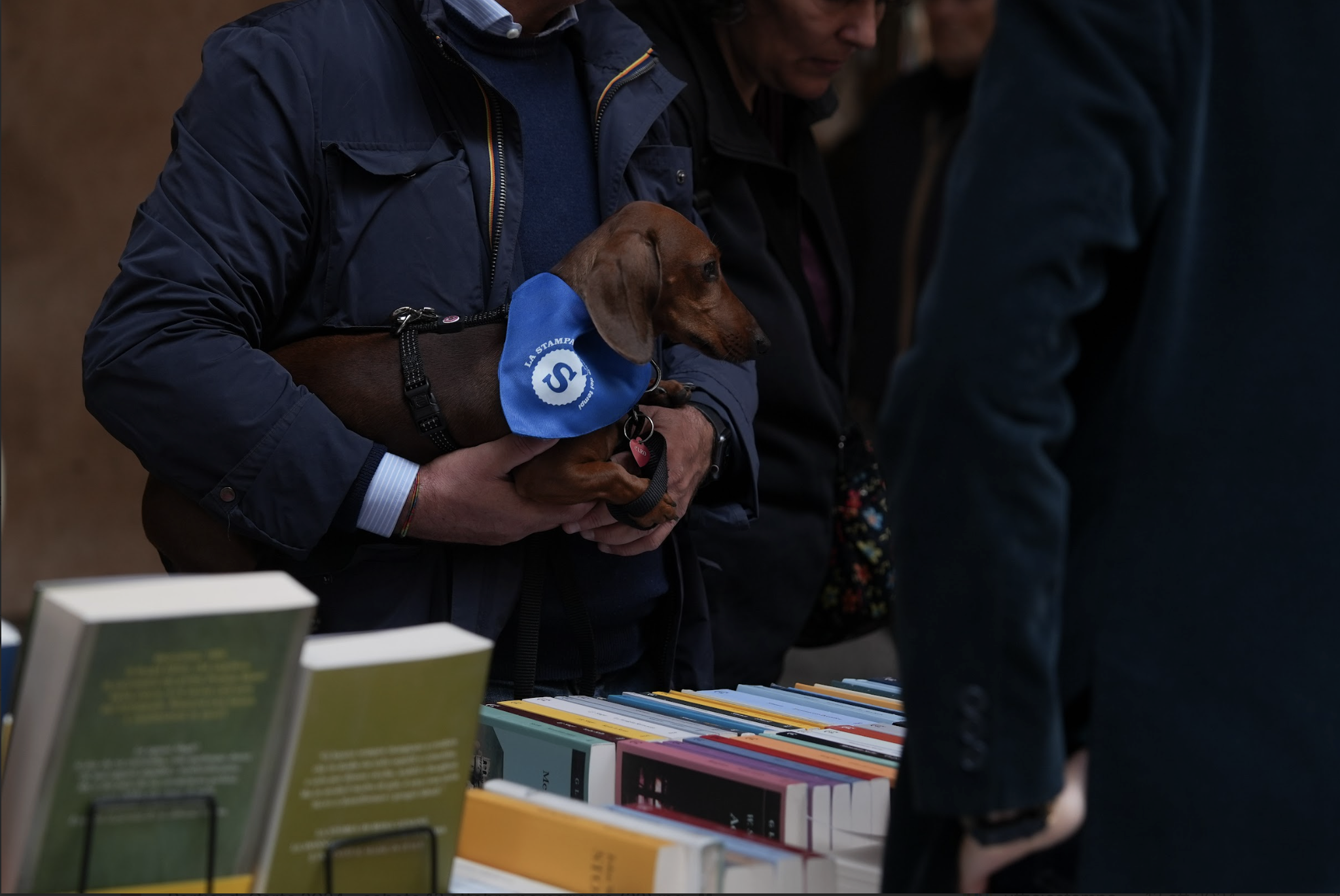 Portici di Carta: quando la cultura si fa passeggiata